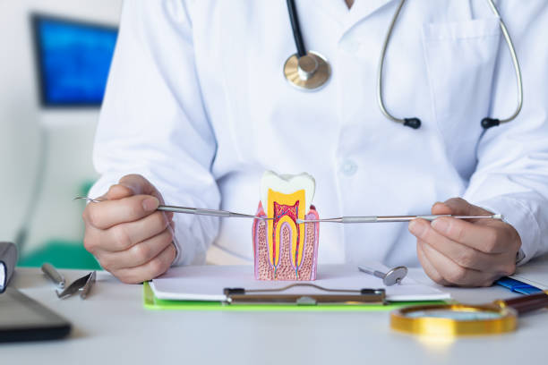 Best Weekend Emergency Dentist in Mill Bay, AK